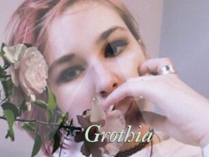 Grothia