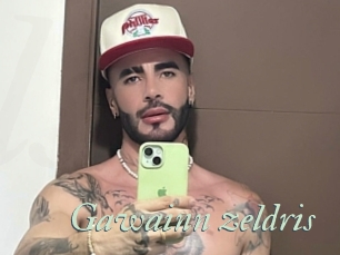 Gawainn_zeldris
