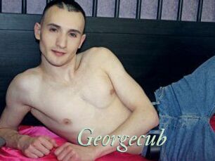 Georgecub