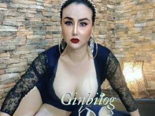 Ginbilog