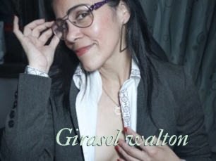 Girasol_walton