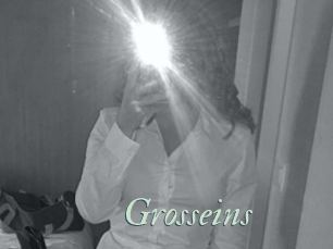 Grosseins