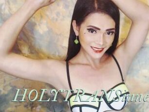 HOLYTRANSinner