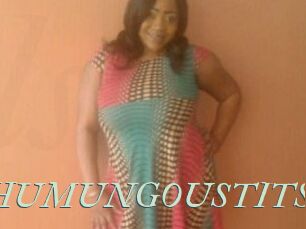 HUMUNGOUSTITS