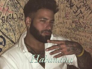 Habanana