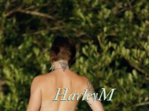 HarleyM