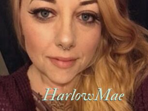 Harlow_Mae