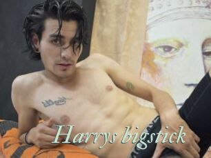 Harrys_bigstick