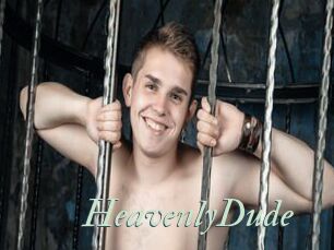 HeavenlyDude
