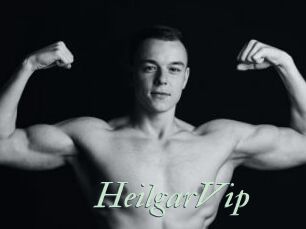 HeilgarVip