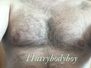 Hairybodyboy