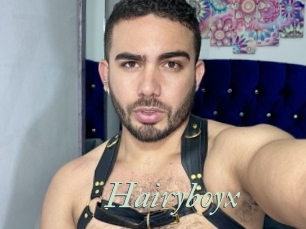 Hairyboyx