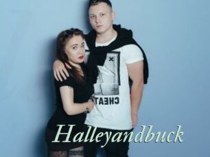 Halleyandbuck