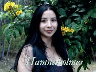 Hamnaholmes