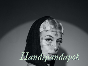 Handipandapok