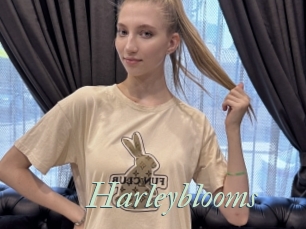 Harleyblooms