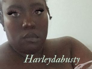Harleydabusty