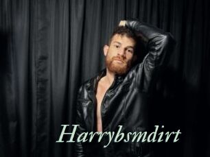 Harrybsmdirt