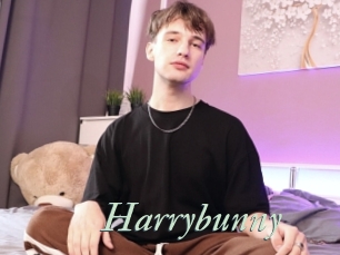 Harrybunny