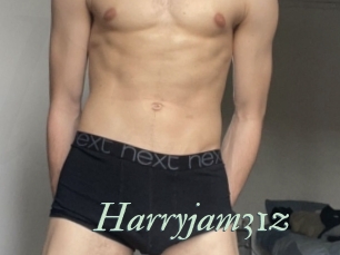 Harryjam31z