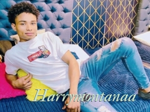 Harrymontanaa
