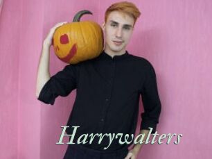 Harrywalters