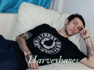 Harveyhayes