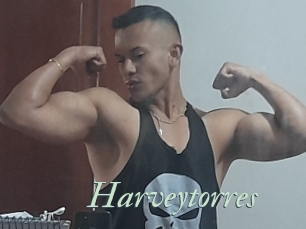 Harveytorres