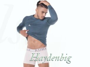 Haydenbig
