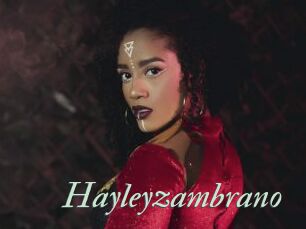 Hayleyzambrano