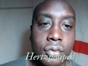 Hertzpmiped