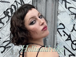 Hollisaldridge