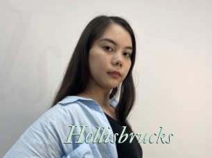 Hollisbrucks