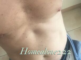Homealone222