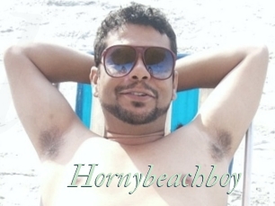 Hornybeachboy