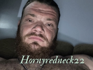 Hornyredneck22