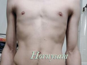 Hornysam