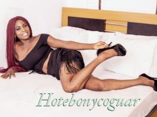 Hotebonycoguar