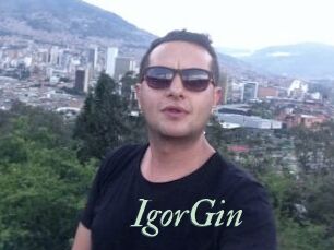 IgorGin