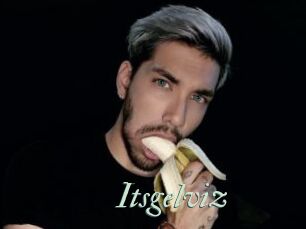 Itsgelviz