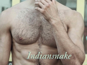 Indiansnake