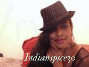 Indianspice30