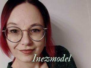 Inezmodel