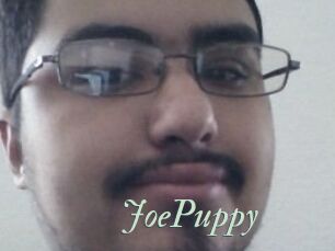 JoePuppy