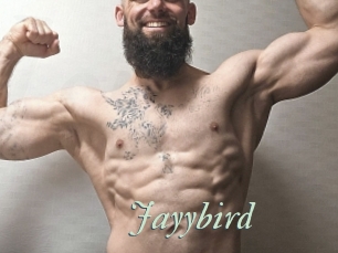 Jayybird