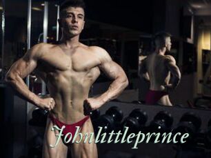 Johnlittleprince