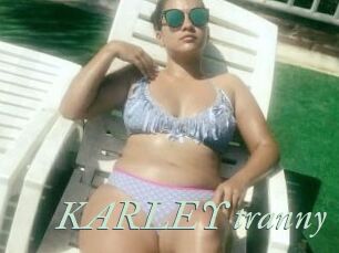 KARLEY_tranny