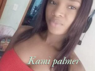 Kami_palmer
