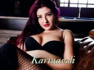 Karinasodi
