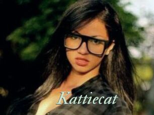 Kattiecat